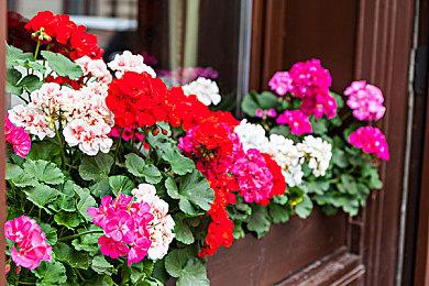 《丧尸围城：豪华复刻版》全新截图 快去拯救美女